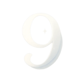 Life Path Number 9